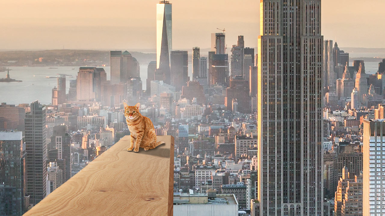 תמונה של חתול יושב על קורה בגורד שחקים גבוה מתוך משחק המציאות המדומה פחד גבהים